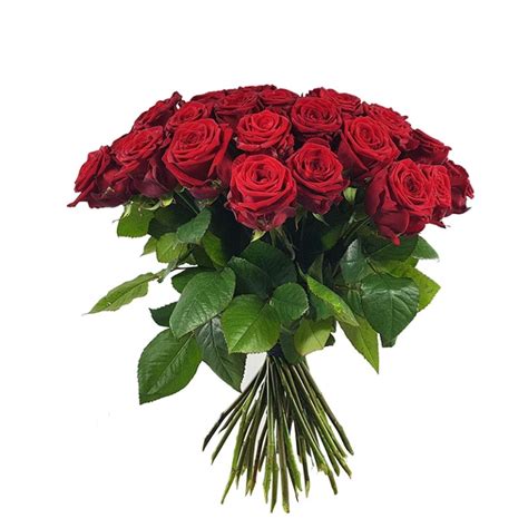 Rote Rosen in verschiedenen Längen online bestellen