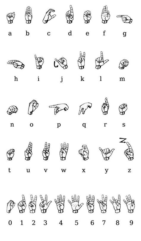 When you're beginning to learn sign language and the asl alphabet it will be difficult to fingerspell but practice will make perfect and your hand will only become steadier as time goes on. Basic sign language | Sign language alphabet, Sign ...