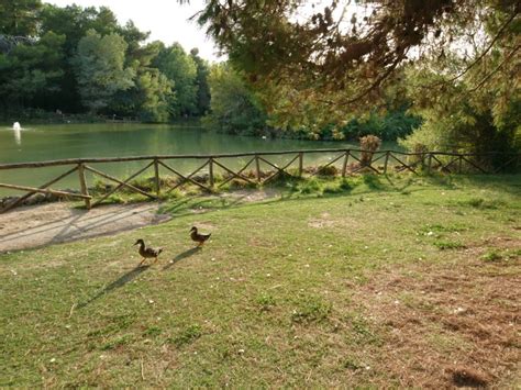 Salva hotel regent nelle tue liste. Pescara, un botanico parlerà della riserva dannunziana ...