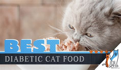 We countdown the 7 best diabetic cat food, both dry & wet. 7 Best Diabetic Cat Foods: Our 2020 Guide to Feeding a ...