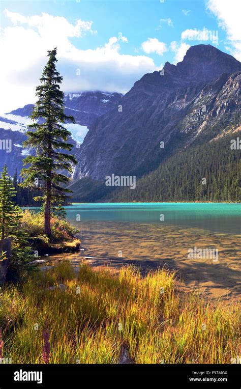 Cavell Lake Jasper National Park Alberta Canada Stock Photo Alamy
