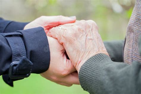Senior And Young Woman Holding Hands Stock Image Image Of Aged Garden