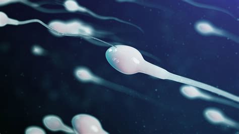 Ist Sperma Gut Für Die Haut Echte Mamas