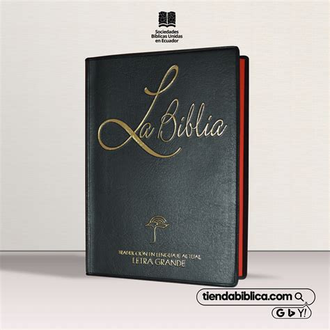 Biblia Traduccion Lenguaje Actual Letra Grande Tla042lg 9781933218892