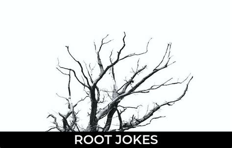 179 Root Jokes And Funny Puns Jokojokes