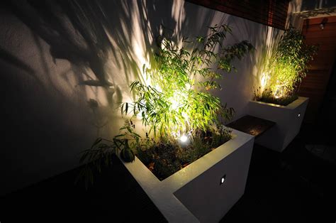 2018 epcot flower and garden festival purple rose lightup cup. Garden lighting design by Mr Resistor. Uplighting plants ...