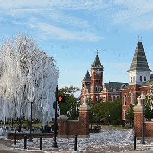 Toomer's corner is located at the intersection of magnolia avenue and college street, and marks the division of downtown auburn, alabama, and the campus of auburn university itself. HQ Webcams from Auburn, USA