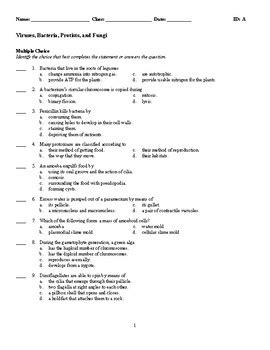 27 Viruses And Bacteria Worksheet Answers - support worksheet