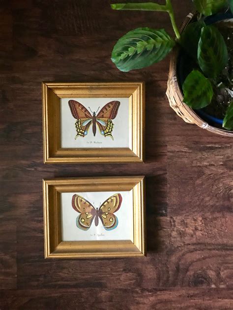 Butterfly Wall Art Set Etsy Butterfly Wall Art Wall Art Sets Wall Art