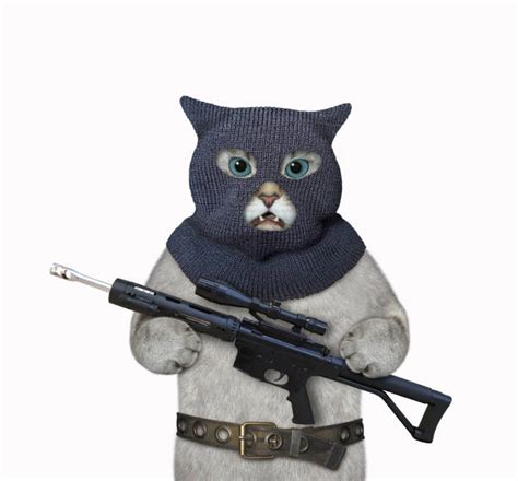 Cats With Guns And Money