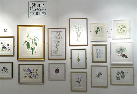 News About Botanical Art And For Botanical Artists Botanical Art