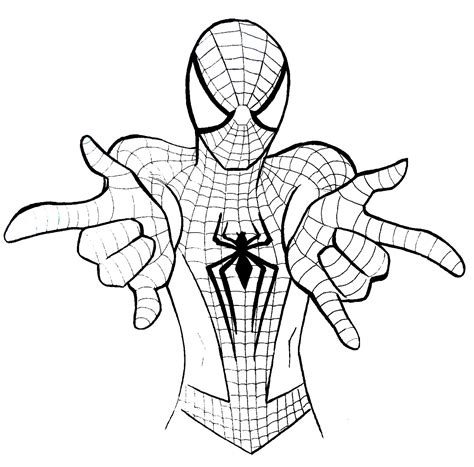 Spiderman Dibujo De Hombre Arana Sobre Un Farol Para Pintar Y Colorear