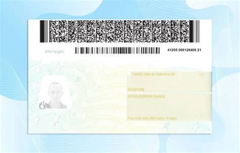 New York Drivers License Template New Edition Psd Photoshop File