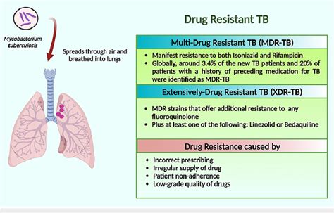 schematic presentation of multidrug resistant tb and extensively