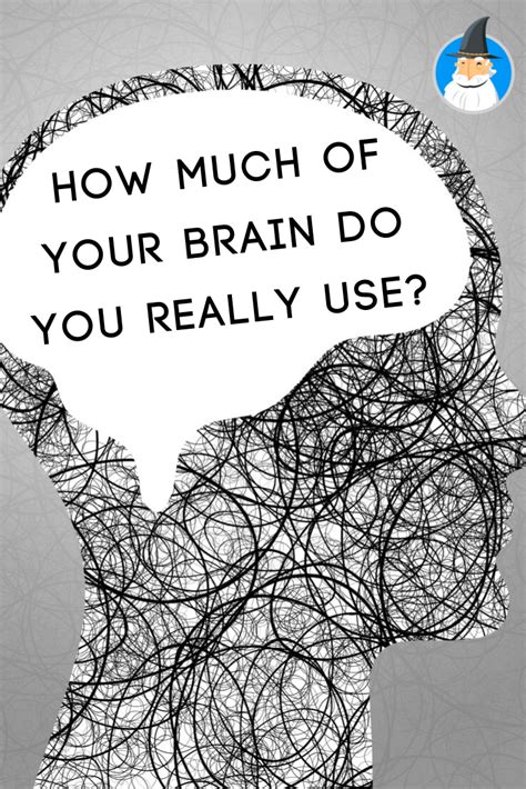 How Much Of Your Brain Do You Really Use Your Brain Do You Really