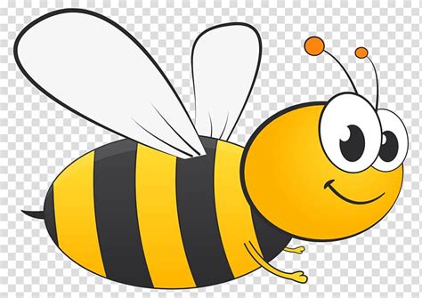 Bee Honey Bee Bee Illustration Transparent Background Png Clipart