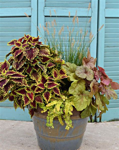 15 Gorgeous Fall Flower Pot Ideas To Enhance Your Home Beautiful