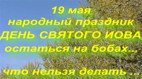 День богат на приметы и поверья. 19 мая народный праздник День Святого Иова. Народные приметы. - YouTube