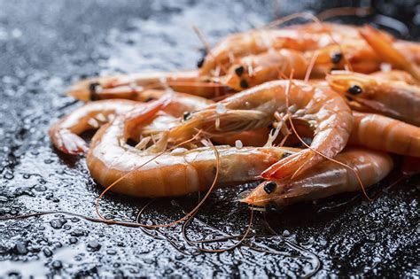 Crevettes grises sautées - Régal