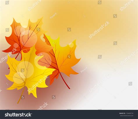 Autumn Maples Falling Leaves Background Vector Stock Vector Royalty