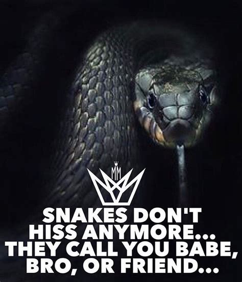 Collection 37 Snakes Quotes 3 And Sayings With Images In 2021