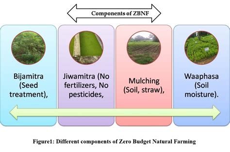 A Way Toward Zero Budget Natural Farming