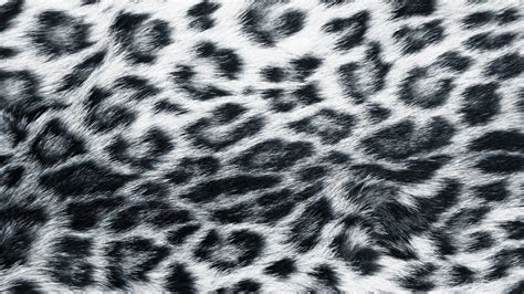 Snow Leopard Print Wallpapers Top Free Snow Leopard Print Backgrounds