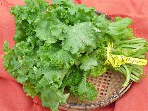 Mustard Greens A Lesser Known Yet Potent Anticancer Leafy Green Kirstin