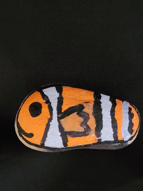 Rock Painting Clownfish Stock Photo Image Of Stripe 242259560