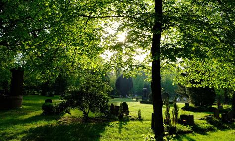 Green Burial Options Benefits Of Sussex Willow Coffins Swc Blog