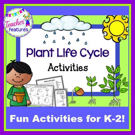 This Fun Resource Contains Activities Focused On Plant Life Cycles And