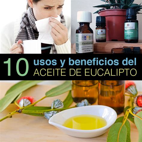 Usos Y Beneficios Del Aceite De Eucalipto La Gu A De Las Vitaminas