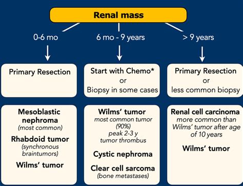 The Radiology Assistant Renal Tumors In Children