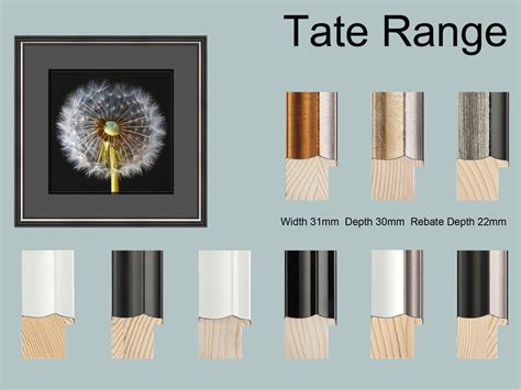 Tate Range Frames For Photographers