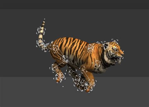 Animated Tiger Rig 3d Model 3ds Maxautodesk Fbx Files Free Download