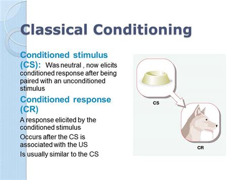 Learning Classical Conditioning Youtube