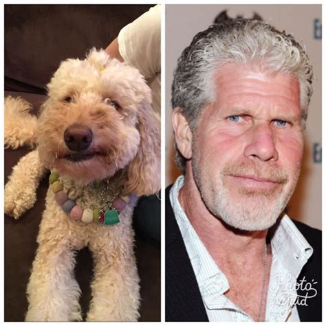 Celebrity doppleganger finder to run the code: Pin on Celebrity look alike