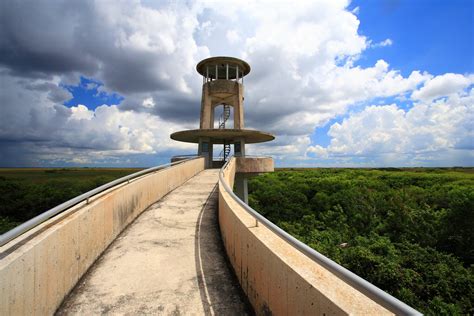 Shark Valley Observation Tower Florida Photo Spot Pixeo