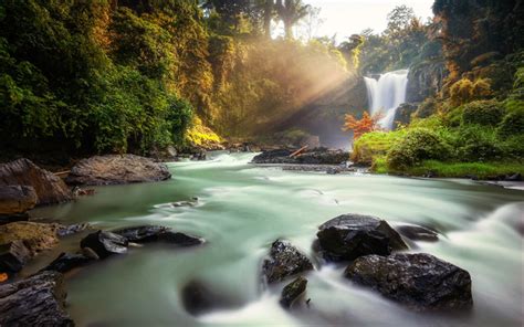Download Wallpapers Tegenungan Waterfall Morning Jungle River