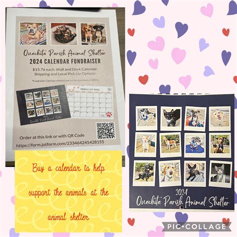 Ouachita Parish Animal Shelter - OPAS