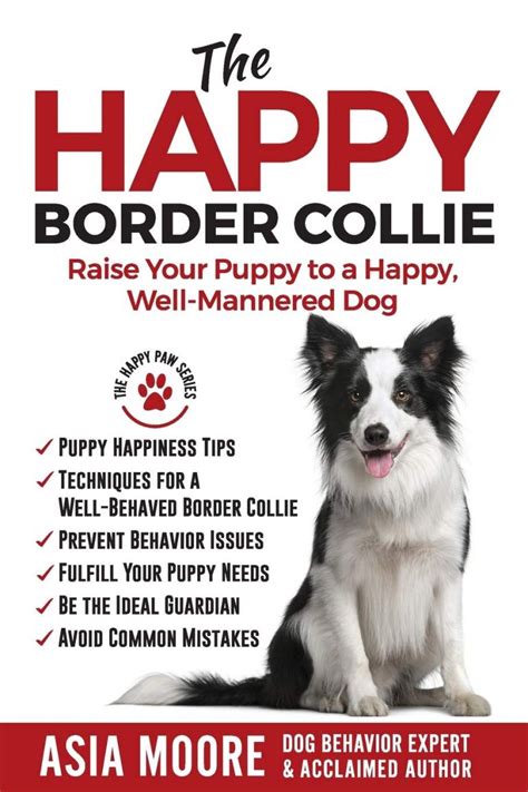 14 Books Every Collie And Border Collie Owner Should Read The Dogman