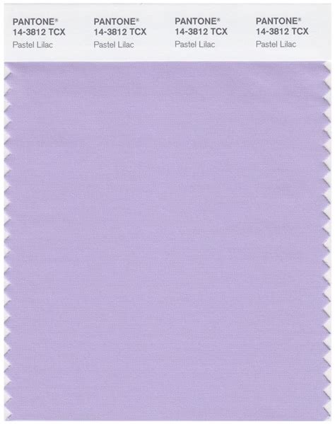 Pastel Lilac Pantone Color Swatch Color