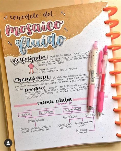Pin De Camila Garcia En Bounal Journal Apuntes De Clase Titulos