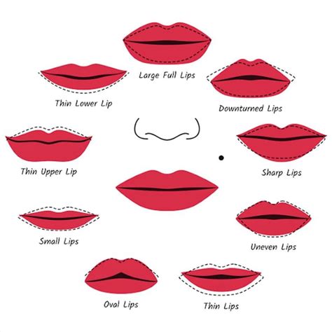 How To Line Your Lips Lip Shapes Lips Lipstick Art