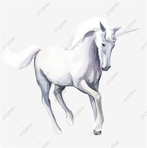 Coloriage de licorne kawaii noir et blanc a co 48 mignon dessin kawaii facile chat harryandlouisereturn 1001 idées pour créer le plus beau ce nuage fait partie de l univers kawaii. Dessin Anime La Licorne Sans Creuser De Fond Blanc, Dessin ...