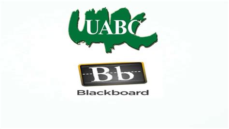 Blackboard Uabc Cómo Ingresar Habilidades Digitales Y Más