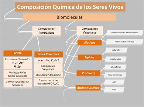 Composici N Qu Mica De Los Seres Vivos