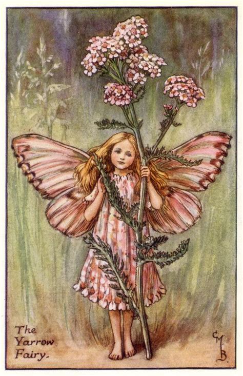 The Yarrow Fairy Fairy Art Fairy Book Flower Fairies Books