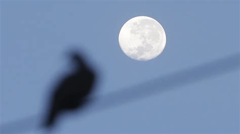 ¿qué Es La Luna Azul Y Cómo Verla En La Noche De Halloween