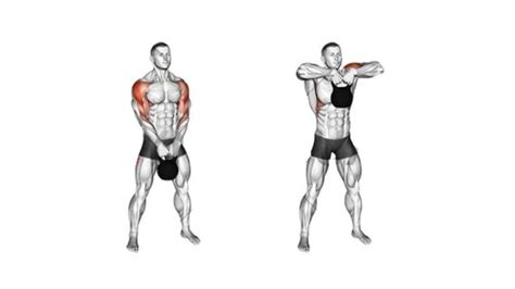 What Are Upright Rows A Bodybuilding Guide